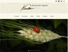 Tablet Screenshot of lefournildeseparis.org